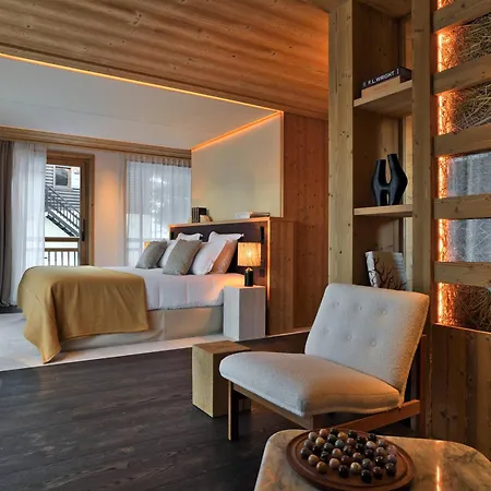 Luxueux 1300, 12 Pers, Jacuzzi, Animaux Admis, Parking - Fr-1-568-43 Chalet